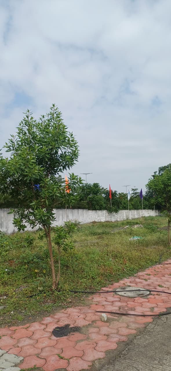 Residential PLOT 423 - GREEN VALLEY  - 1