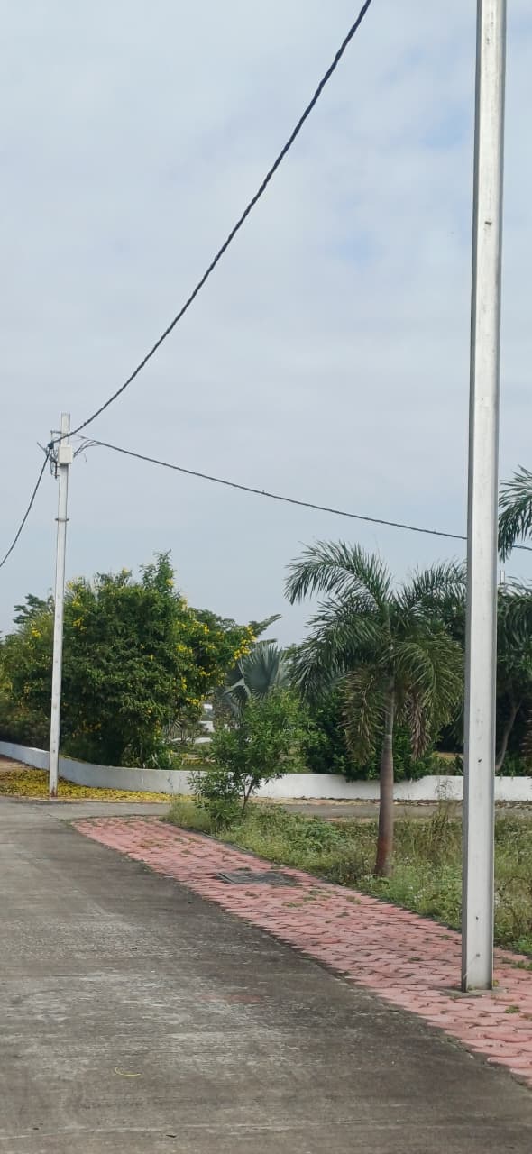 Residential PLOT 423 - GREEN VALLEY  - 1